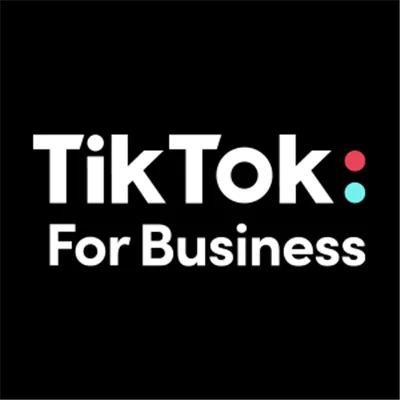 TikTok for Business campaign dashboard on a mobile screen